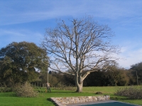 Taille de formation et de r�duction