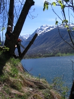 Abattage d’un arbre dangereux pouss� sur une paroi rocheuse, effectu� en technique de grimpe