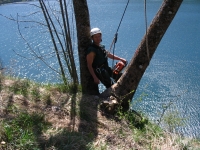 Abattage d’un arbre dangereux pouss sur une paroi rocheuse, effectu en technique de grimpe