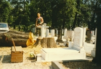 Abattage d’arbres g�ants