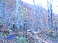 Abattage d’un arbre dangereux renvers�