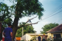 R�paration des dommages caus�s par une tempête: d�montage d’un arbre en �lagage
