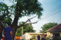 Rparation des dommages causs par une tempête: dmontage d’un arbre en lagage
