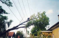 Rparation des dommages causs par une tempête: dmontage d’un arbre en lagage