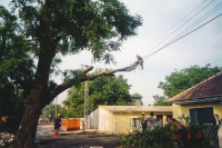 R�paration des dommages caus�s par une tempête: d�montage d’un arbre en �lagage