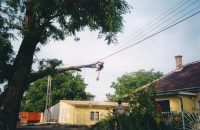 R�paration des dommages caus�s par une tempête: d�montage d’un arbre en �lagage