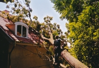 Abattage d’un arbre renvers sur un toit par la tempête