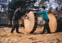 Abattage d’un arbre de 202 centimètres de diamètre dans une cour �troite