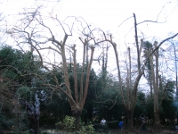 Taille De R�duction