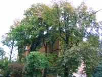 �lagage Pour S�curiser Des C�bles A�riens