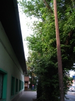 �lagage Pour S�curiser  B�timents Et �difices