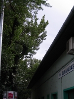 �lagage Pour S�curiser  B�timents Et �difices