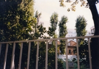 Taille De Rajeunissement