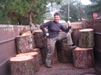 �vacuation Des Branches Et Des Billes De Bois