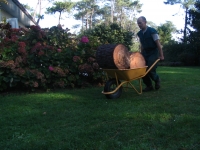 �vacuation Des Branches Et Des Billes De Bois