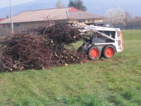 �vacuation Des Branches Et Des Billes De Bois