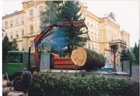 �vacuation Des Branches Et Des Billes De Bois